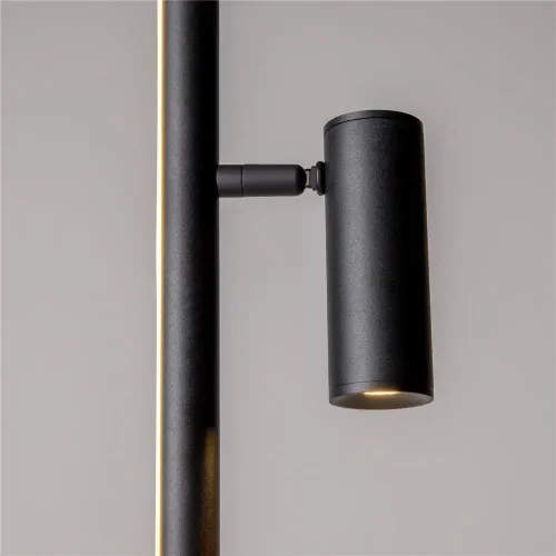 Напольный светильник (торшер) Thin 3000К 14Вт (Черный) - фото 9