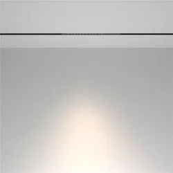 Трековый светильник Technical TR232-2-10W4K-B (Черный)