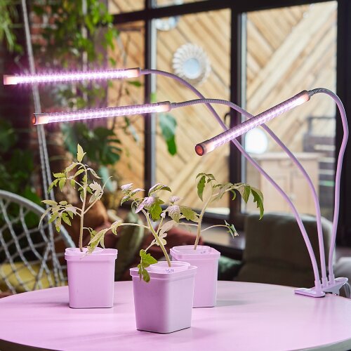 ULT-P33-18W-SPLE-TM-60 IP40 WHITE TRIPLE Светильник для растений светодиодный с таймером, на прищепке, Спектр для фотосинтеза, TM Uniel - фото 5