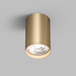 Накладной светильник Denkirs TUBE | ТЬЮБ , Denkirs DK2050-SG
