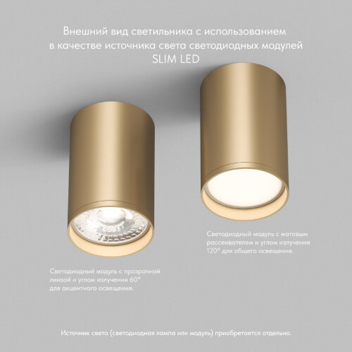 Накладной светильник Denkirs TUBE | ТЬЮБ DK2050-SG. Фото 7