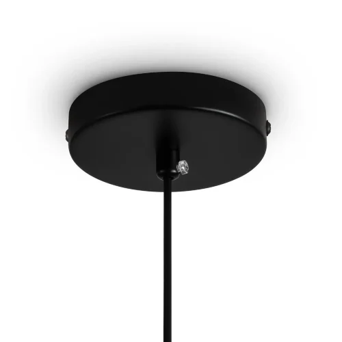 Подвесной светильник Freya FR5598PL-01R (Черный) - фото 6