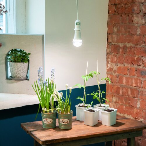 DLC-P-T50B-E27 3M WHITE Патрон подвесной с выключателем и штепсельной вилкой, 300 см, Цоколь Е27, Белый, TM Uniel - фото 4