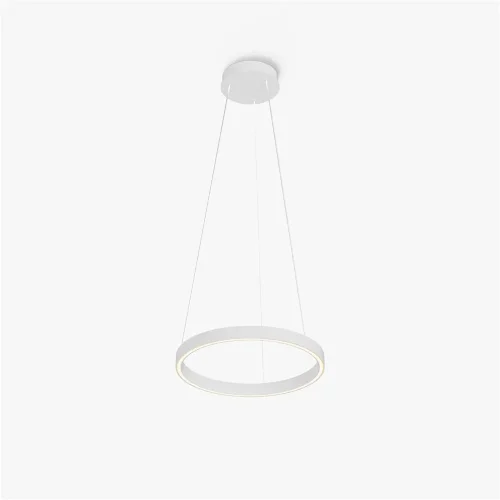 Подвесной светильник Rim 3000-4000К 24Вт (Белый) - фото 3