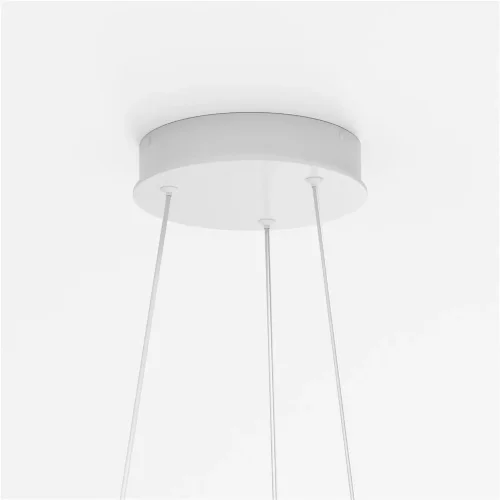 Подвесной светильник Rim 3000-4000К 24Вт (Белый) - фото 5