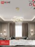 Светильник светодиодный ESTETIKA DALI-HL-120GL 120Вт 230В 3000-6500K 600х490x170мм 1.2м трос ДУ золото IN HOME - Фото 7