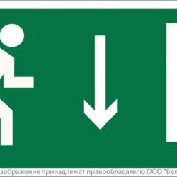 Пластина BL-3517.E09 'Указатель двери эвакуационного выхода (прав.)' Белый свет a12894