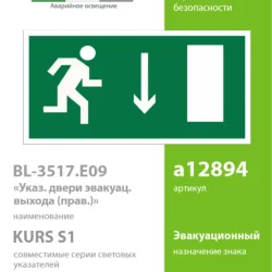 Пластина BL-3517.E09 'Указатель двери эвакуационного выхода (прав.)' Белый свет a12894