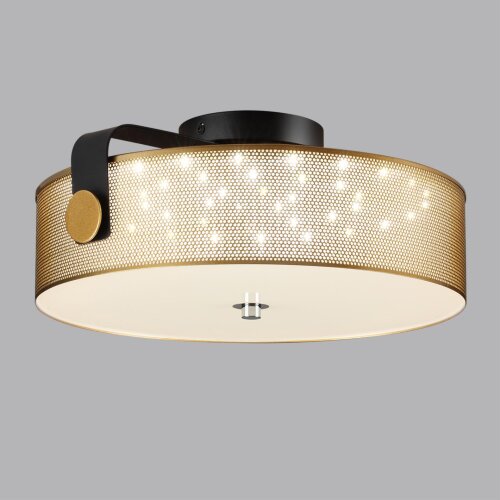 Потолочный светильник «LUMION» 6597/40L, серия: DRUMY (крепление на планке). Фото 2.