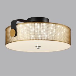 Потолочный светильник «LUMION» 6597/40L, серия: DRUMY (крепление на планке) - -
