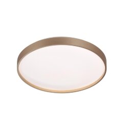 Настенно-потолочный светильник «СОНЕКС» 7783/DL, дизайн: Минимализм, серия: GABY (накладной) - -