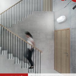 Светильник светодиодный герметичный СПП ИД-1065-ОВАЛ 10Вт 6500К 900Лм с инфракрасным датчиком IP65 160х88мм IN HOME