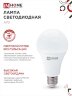 Лампа светодиодная LED-A70-VC 30Вт 230В Е27 6500К 2850Лм IN HOME - Фото 7