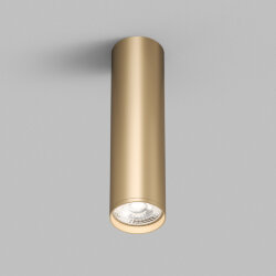 Накладной светильник Denkirs TUBE | ТЬЮБ , Denkirs DK2052-SG