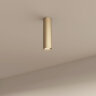 Накладной светильник Denkirs TUBE | ТЬЮБ DK2052-SG. Фото 2