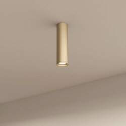 Накладной светильник Denkirs TUBE | ТЬЮБ , Denkirs DK2052-SG