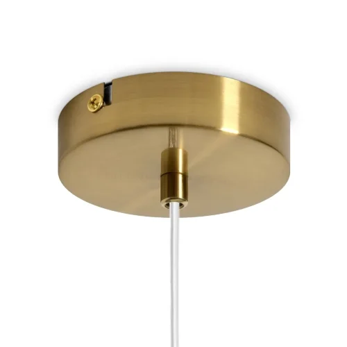 Подвесной светильник Тела / Tela (Латунь) FR2061PL-01BS2 - фото 10