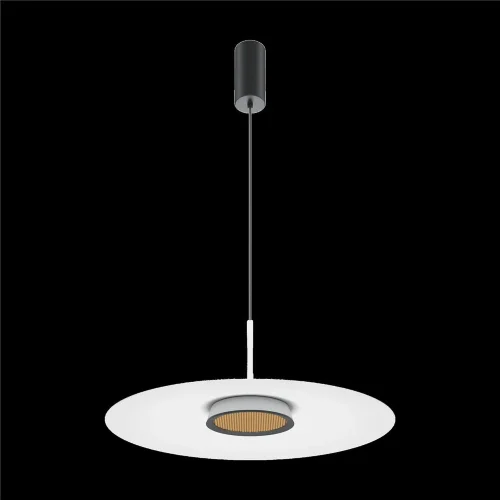 Подвесной светильник El 3000К 12Вт (Черный) - фото 6