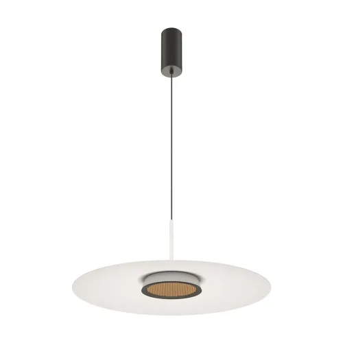 Подвесной светильник El 3000К 12Вт (Черный) - фото 7