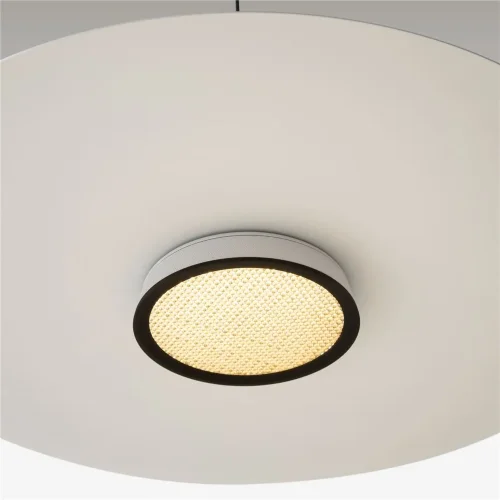 Подвесной светильник El 3000К 12Вт (Черный) - фото 11