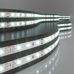 Светодиодная лента 24&amp;nbsp;В 4,8&amp;nbsp;Вт/м 60 Led/м 2835 IP20, холодный белый 6500K, 5 м 24V 4,8W 60Led 2835 IP20 холодный белый, 5м (052955)