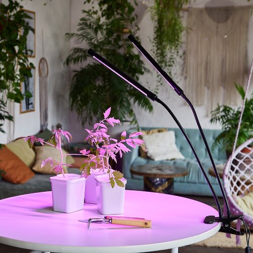 ULT-P33-15W-SPSB-TM IP40 BLACK Светильник для растений светодиодный с таймером, на прищепке, Спектр для рассады и цветения, TM Uniel - фото 8