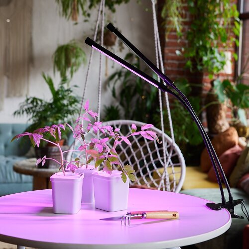 ULT-P33-15W-SPSB-TM IP40 BLACK Светильник для растений светодиодный с таймером, на прищепке, Спектр для рассады и цветения, TM Uniel - фото 10