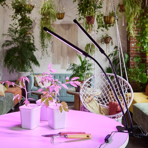 ULT-P33-15W-SPSB-TM IP40 BLACK Светильник для растений светодиодный с таймером, на прищепке, Спектр для рассады и цветения, TM Uniel - фото 6