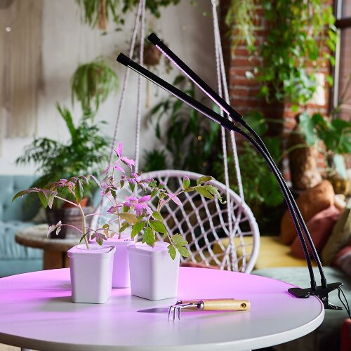 ULT-P33-15W-SPSB-TM IP40 BLACK Светильник для растений светодиодный с таймером, на прищепке, Спектр для рассады и цветения, TM Uniel - фото 11