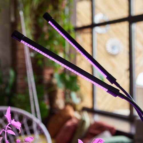 ULT-P33-15W-SPSB-TM IP40 BLACK Светильник для растений светодиодный с таймером, на прищепке, Спектр для рассады и цветения, TM Uniel - фото 12