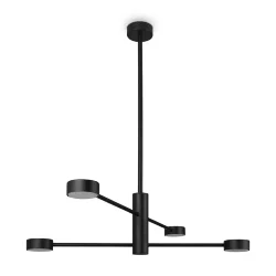 Потолочный светильник Freya FR5363CL-04B (Черный)