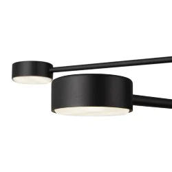 Потолочный светильник Freya FR5363CL-04B (Черный)