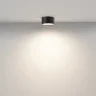 Потолочный светильник Зон / Zon 12 Вт 3000 К 120° (Черный) C032CL-12W3K-RD-B - фото 2