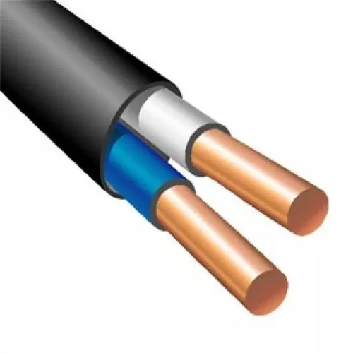 Кабель ВВГ-Пнг(А) 2х2.5 ОК (N) 0.66кВ (уп.100м) ПромЭл 872002748 - фото