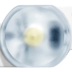 Модуль светодиодный ELF VIVO+ I, 1SMD диод 2835, с линзой, 170гр.,12В, IP 67, белый
