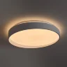 Потолочный светильник FR6222CL-L84W Пасс / Pass 84 Вт LED с пультом ДУ (Белый) FR6222CL-L84W - фото 8