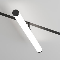 Рассеивающий матовый светильник SMART RAY 12W DIM 3000K-6000K, черный, акрил, алюминий, Denkirs DK8065-BK