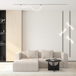 Рассеивающий матовый светильник SMART RAY 12W DIM 3000K-6000K, черный, акрил, алюминий, Denkirs DK8065-BK