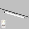 Светильник на шине Denkirs SMART RAY | СМАРТ РЭЙ DK8065-BK.