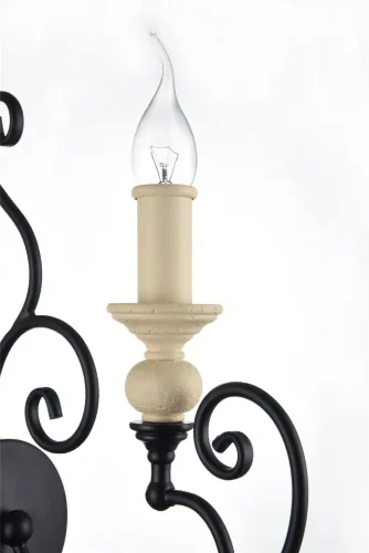 Настенный светильник (бра) Karina E14х1 60Вт (Черный) - фото 4