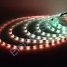 Светодиодная лента 5050, 30 led/m, A32, RGB-SPI, WS2811A controlled, 12V, IP65 - фото 2.