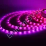Светодиодная лента 5050, 30 led/m, A32, RGB-SPI, WS2811A controlled, 12V, IP65 - фото 4.