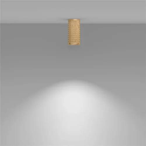 Потолочный светильник Focus Design GU10 1x10Вт (Матовое Золото) - фото 6