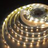 Светодиодная лента - Фото 2
