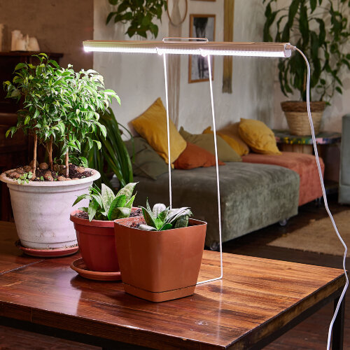 ULI-P11-24W-SPFR IP40 WHITE Светильник для растений светодиодный линейный, 872мм, выкл, на корпусе, Алюминий, Спектр для фотосинтеза, TM Uniel - фото 9