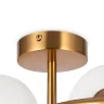 Настенный светильник (бра) Гармония / Harmonie (Латунь) FR5124WL-02BS - фото 12