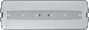Светильник светодиодный 95 294 NEF-21 5Вт 300лм 220-240В IP20 акк. LiFePO4 1800мА.ч аварийно-эвакуационный NAVIGATOR 95294 - фото