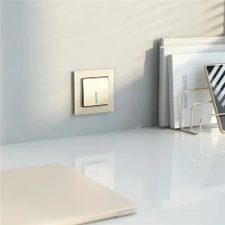 Выключатель одноклавишный с подсветкой (шампань) W1110111