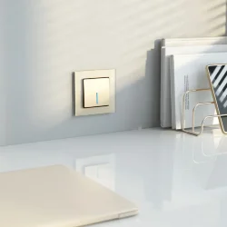 Выключатель одноклавишный с подсветкой (шампань) W1110111
