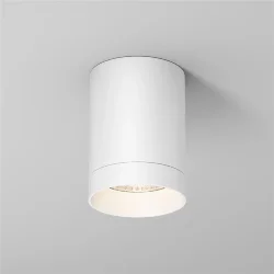 Потолочный светильник Luxe 3000К 10Вт IP 65 (Белый)